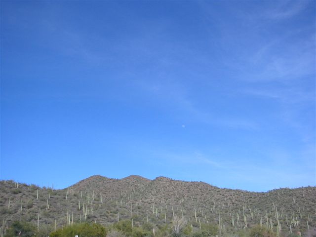 Arizona 024